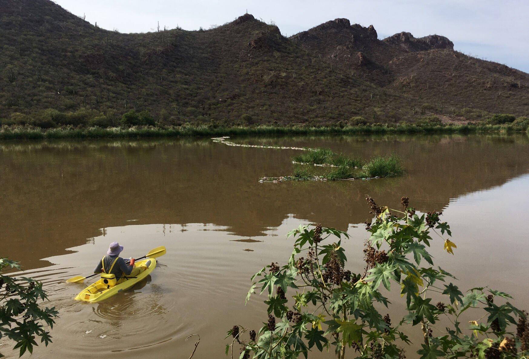 San Carlos, Guaymas, sewage, 2021